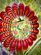 Spinner decorativo KALU - Ruby Hummingbird